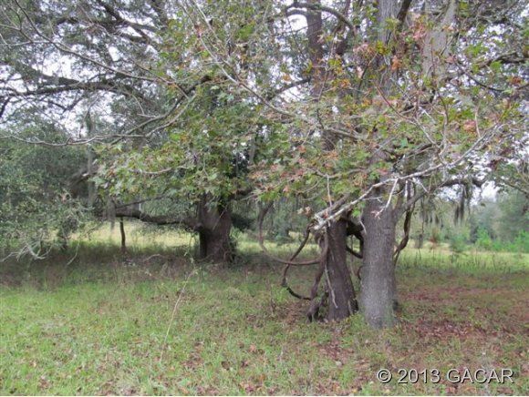 6177 SW 35 Drive, Gainesville, FL 32608